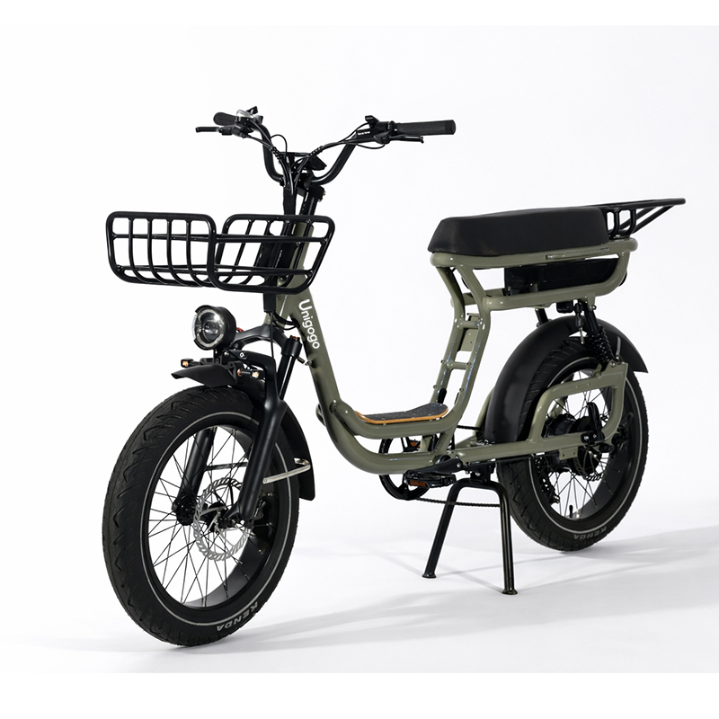 N3 20 Inch Elektrische Mountai - Mountain Biking App recensie en prijs