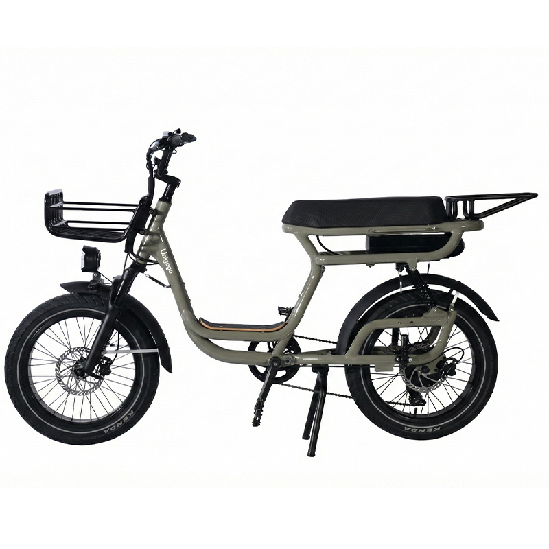 N3 20 Inch Elektrische Mountai - Mountain Biking App recensie en prijs