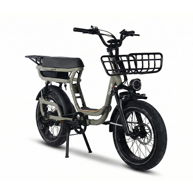 N3 20 Inch Elektrische Mountai - Mountain Biking App recensie en prijs